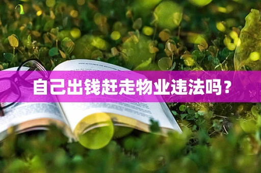 自己出钱赶走物业违法吗？