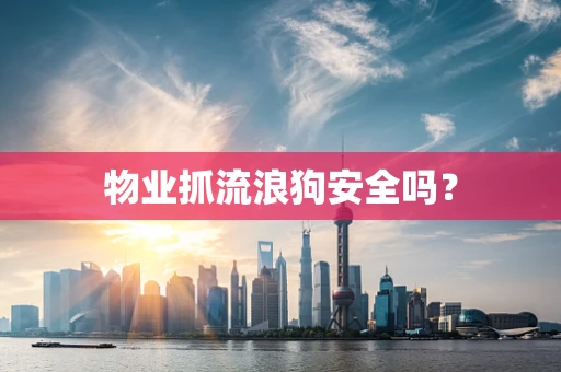 物业抓流浪狗安全吗？