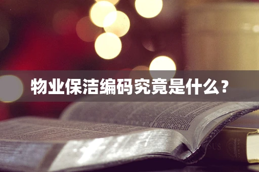 物业保洁编码究竟是什么？