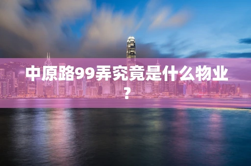 中原路99弄究竟是什么物业？