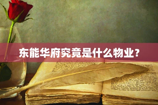 东能华府究竟是什么物业？