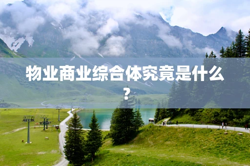 物业商业综合体究竟是什么？