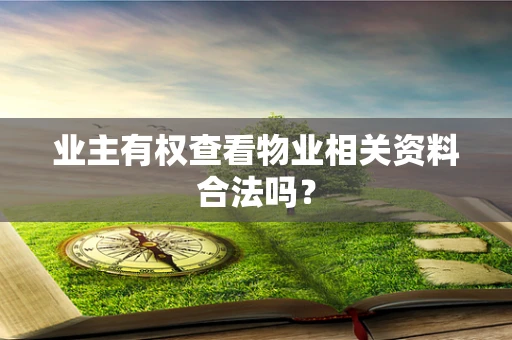业主有权查看物业相关资料合法吗？