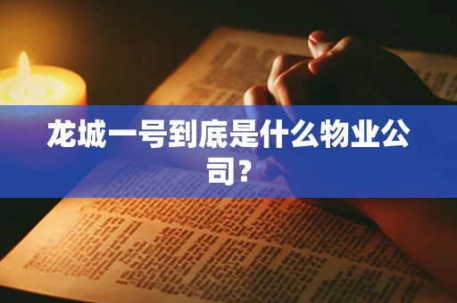 龙城一号到底是什么物业公司？