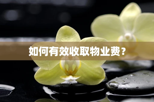 如何有效收取物业费？