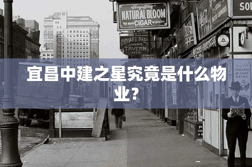 宜昌中建之星究竟是什么物业？