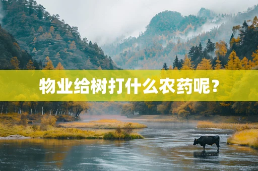 物业给树打什么农药呢？