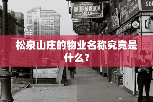 松泉山庄的物业名称究竟是什么？