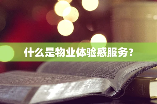 什么是物业体验感服务？