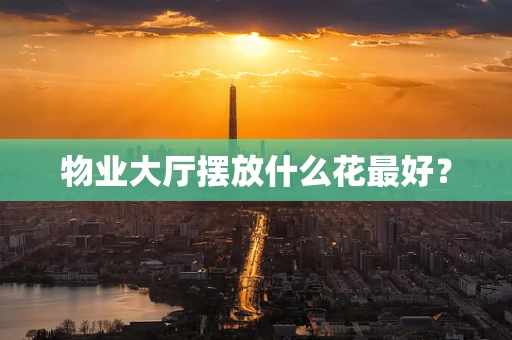 物业大厅摆放什么花最好？