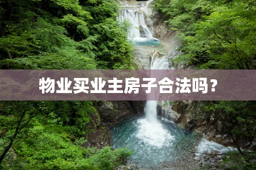 物业买业主房子合法吗？
