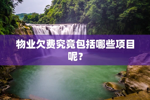 物业欠费究竟包括哪些项目呢？