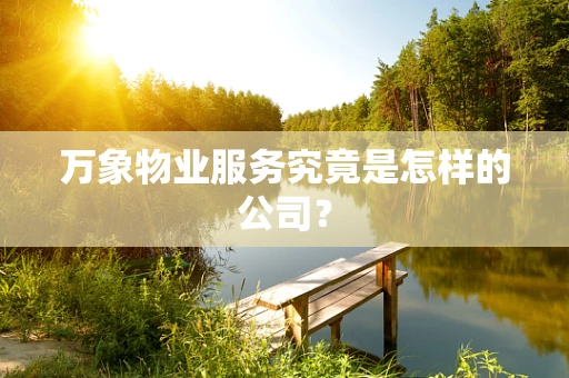万象物业服务究竟是怎样的公司？