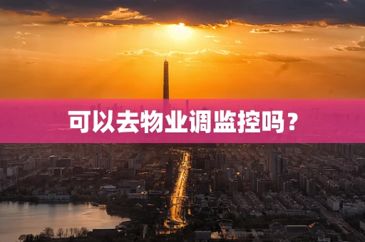 可以去物业调监控吗？