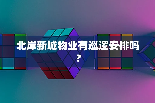 北岸新城物业有巡逻安排吗？
