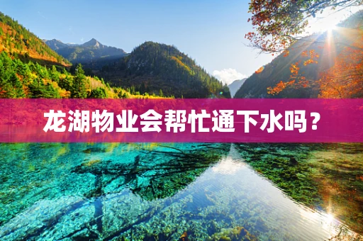龙湖物业会帮忙通下水吗？