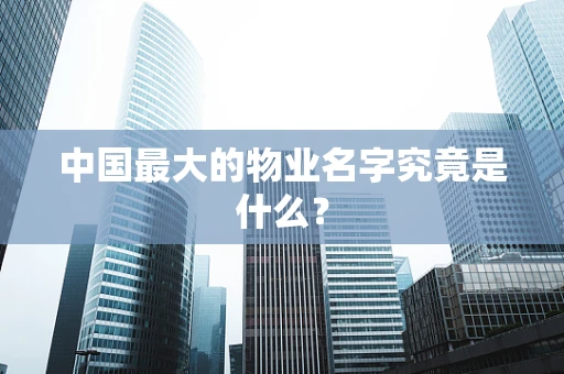 中国最大的物业名字究竟是什么？