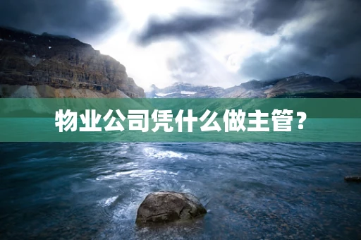 物业公司凭什么做主管？