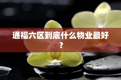 通福六区到底什么物业最好？
