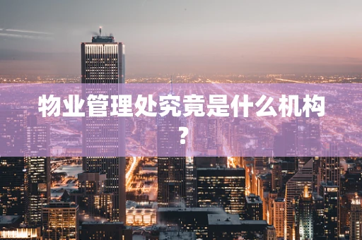 物业管理处究竟是什么机构？
