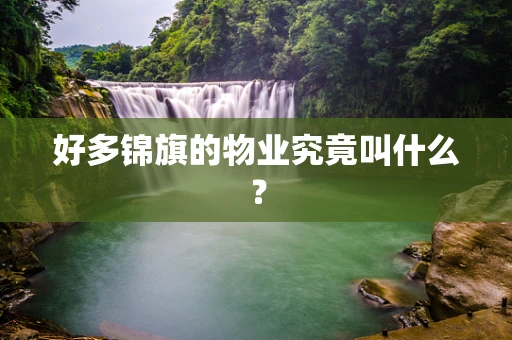 好多锦旗的物业究竟叫什么？