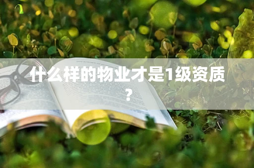什么样的物业才是1级资质？