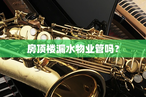 房顶楼漏水物业管吗？