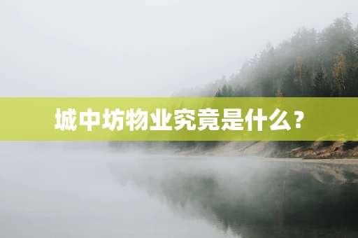 城中坊物业究竟是什么？