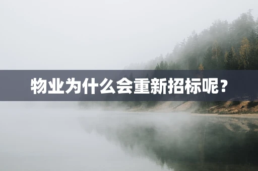 物业为什么会重新招标呢？