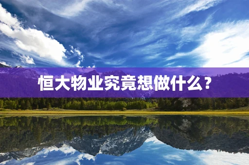 恒大物业究竟想做什么？