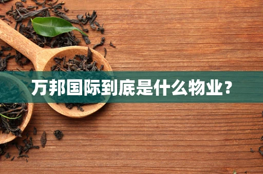 万邦国际到底是什么物业？