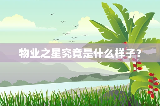 物业之星究竟是什么样子？