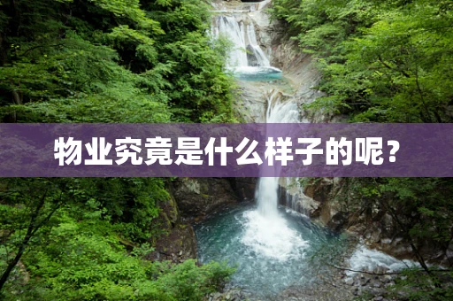 物业究竟是什么样子的呢？