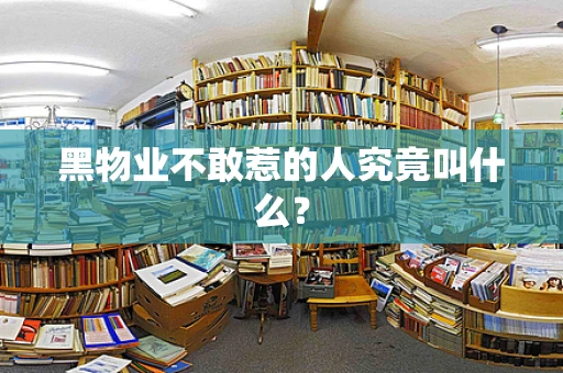 黑物业不敢惹的人究竟叫什么？
