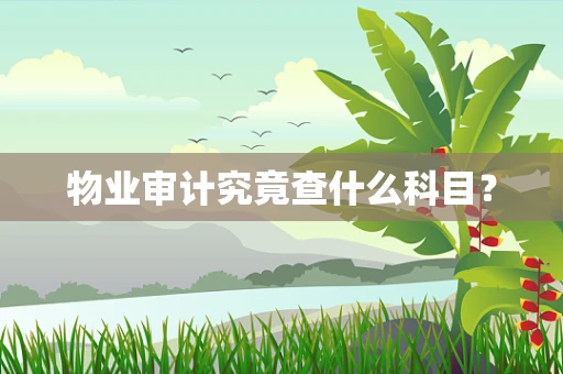 物业审计究竟查什么科目？