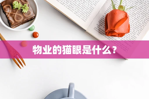 物业的猫眼是什么？