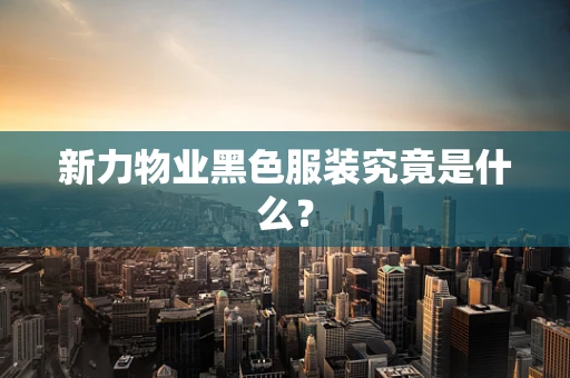 新力物业黑色服装究竟是什么？