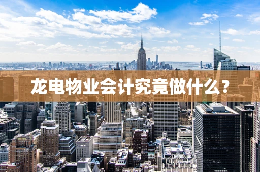 龙电物业会计究竟做什么？