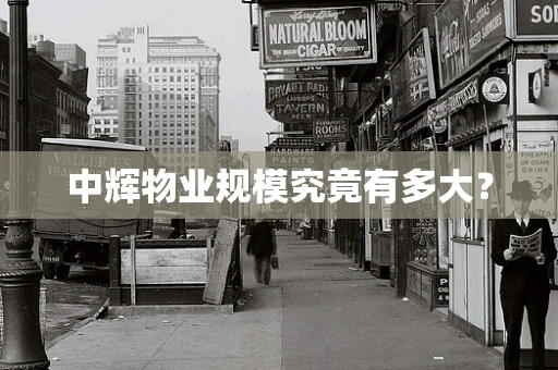 中辉物业规模究竟有多大？