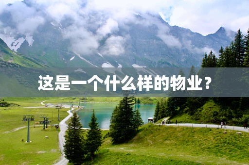 这是一个什么样的物业？