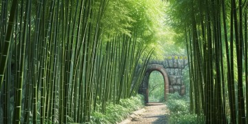 竹径苑物业真的安全吗？