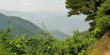 龙泉新村物业真的可靠吗？