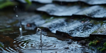 房顶漏雨真的是物业管吗？