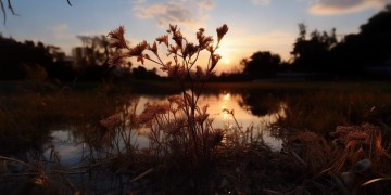 金山公寓是否有物业管理？