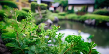 邱家小区的物业究竟叫什么？