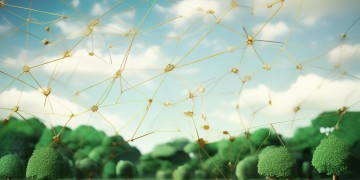 物业公司报税有什么要求呢？